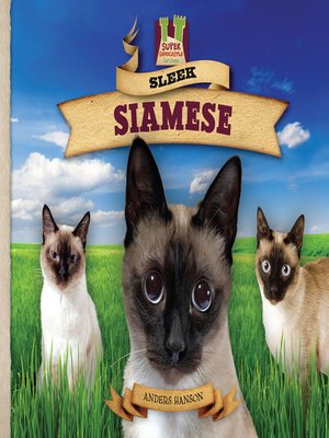 cover image of Sleek Siamese